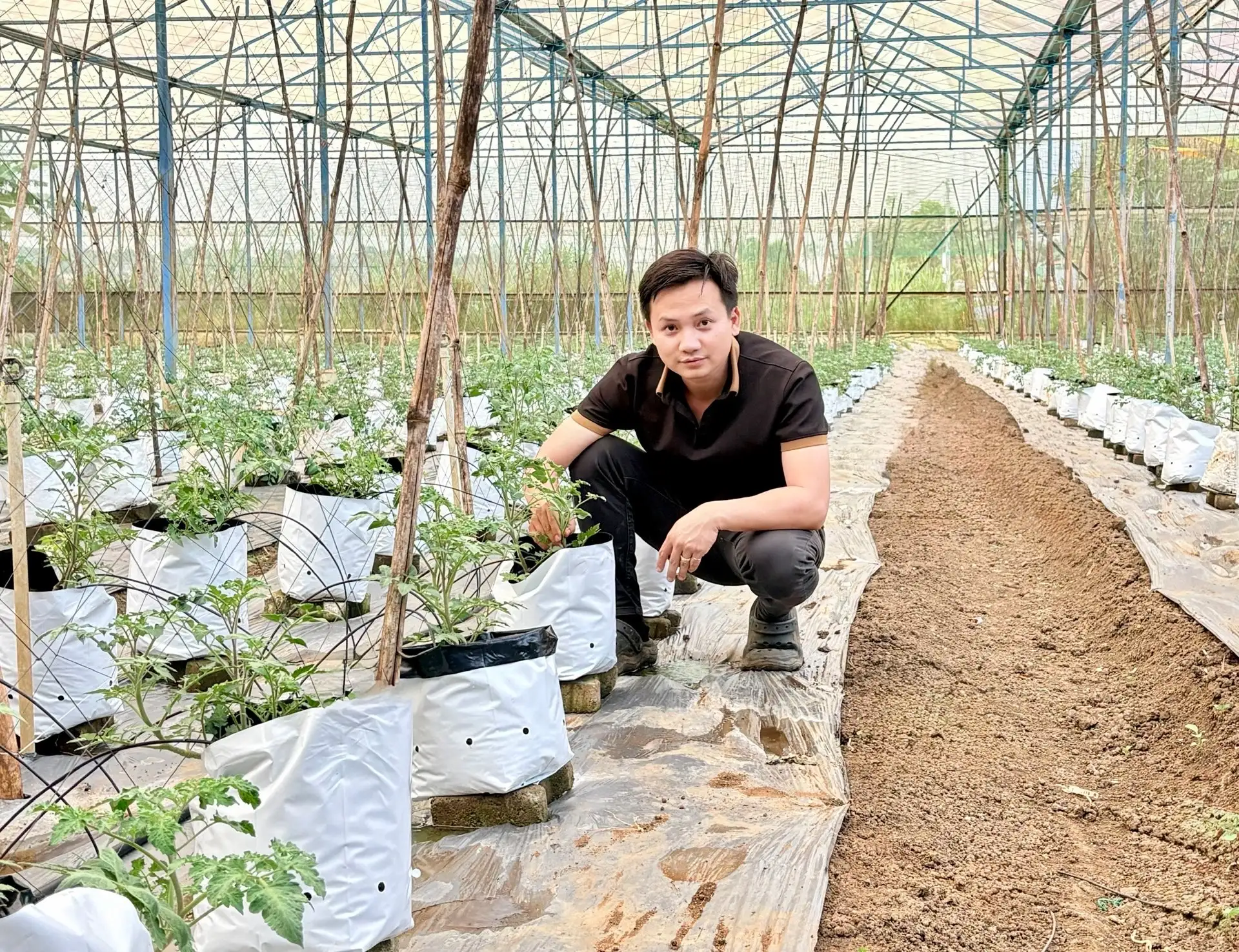 Chàng trai Gia Lai bỏ phố hoa lệ về quê trồng rau kiểu gì mà doanh thu 20 tỷ/năm , là “Nông dân Việt Nam xuất sắc”?