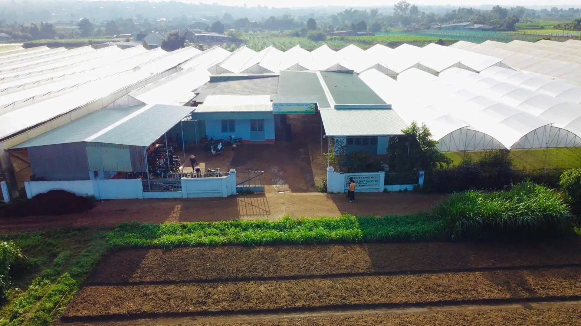 Chàng trai Gia Lai bỏ phố hoa lệ về quê trồng rau kiểu gì mà doanh thu 20 tỷ/năm , là “Nông dân Việt Nam xuất sắc”?