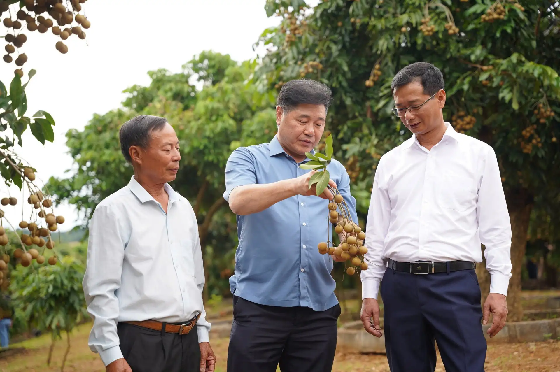 Chỉ đạo của Tổng Bí thư về công tác khuyến nông: Cơ hội lớn để lực lượng khuyến nông &#8220;sống được bằng nghề&#8221;