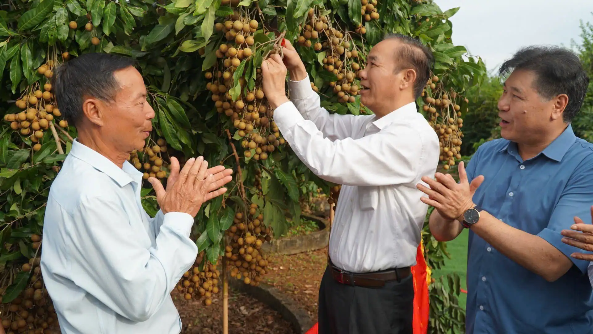 Chỉ đạo của Tổng Bí thư về công tác khuyến nông: Cơ hội lớn để lực lượng khuyến nông &#8220;sống được bằng nghề&#8221;