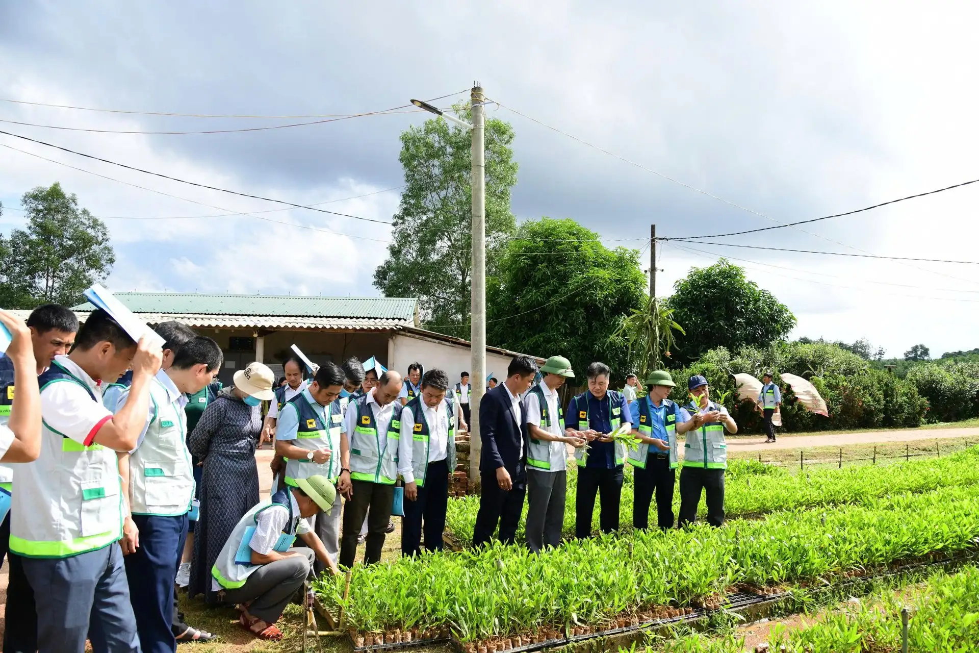 Chỉ đạo của Tổng Bí thư về công tác khuyến nông: Cơ hội lớn để lực lượng khuyến nông &#8220;sống được bằng nghề&#8221;