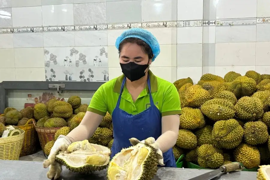 Chi tiền tỷ cấp đông sầu riêng bằng ni tơ lỏng, doanh nghiệp Lâm Đồng đưa hàng chục tấn sang Mỹ