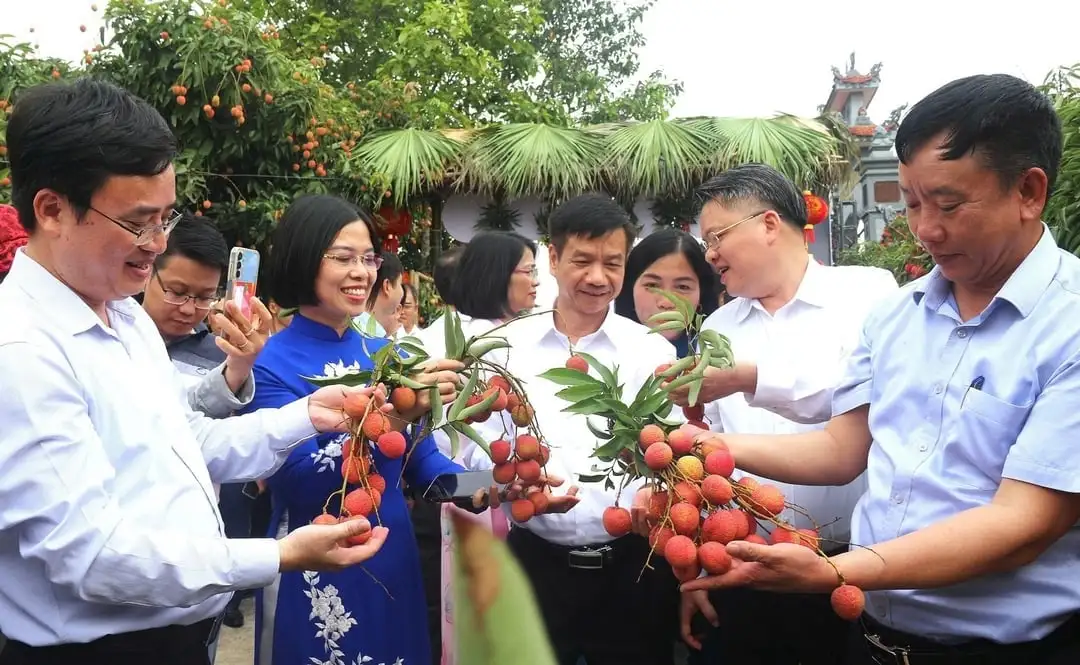 Chủ tịch Hội Nông dân TP.Hải Phòng là Nhà khoa học của nhà nông với nhiều sáng kiến phát triển cây vải thiều Thanh Hà