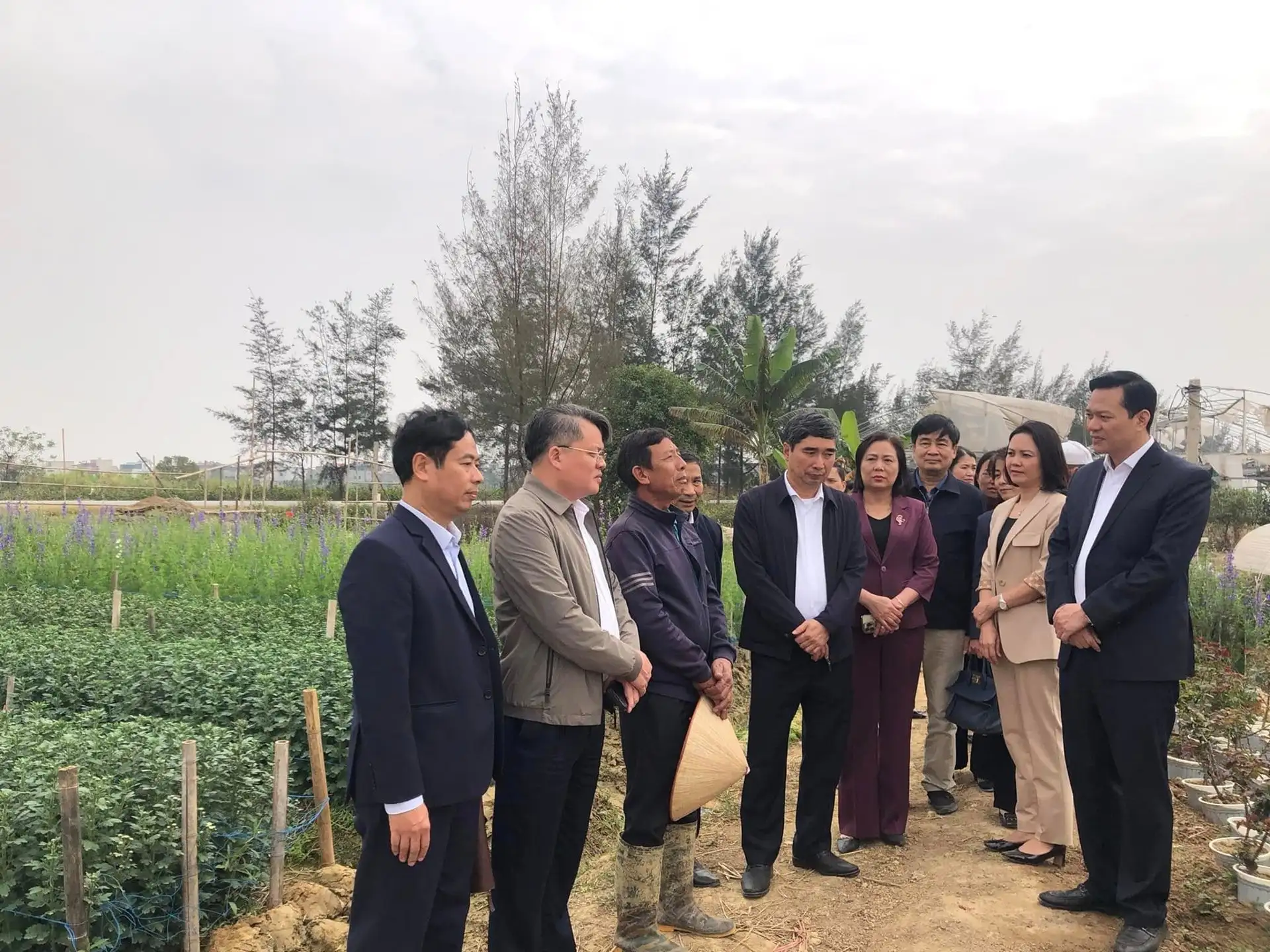 Chủ tịch Hội Nông dân TP.Hải Phòng là Nhà khoa học của nhà nông với nhiều sáng kiến phát triển cây vải thiều Thanh Hà