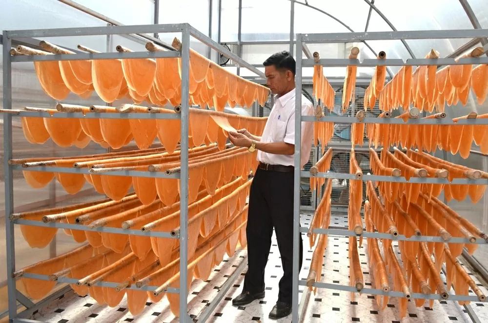 Chương trình OCOP tại Cà Mau: Nâng tầm sản vật địa phương, tạo sinh kế bền vững cho người dân