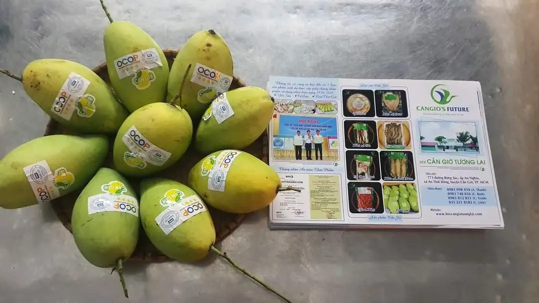 Chương trình OCOP TP.HCM: Vượt xa mục tiêu số lượng nhưng ‘khát’ sản phẩm 5 sao