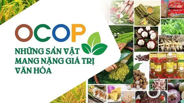 Chuyển đổi số tại Tuyên Quang ‘nền móng’ vững chắc giảm nghèo bền vững