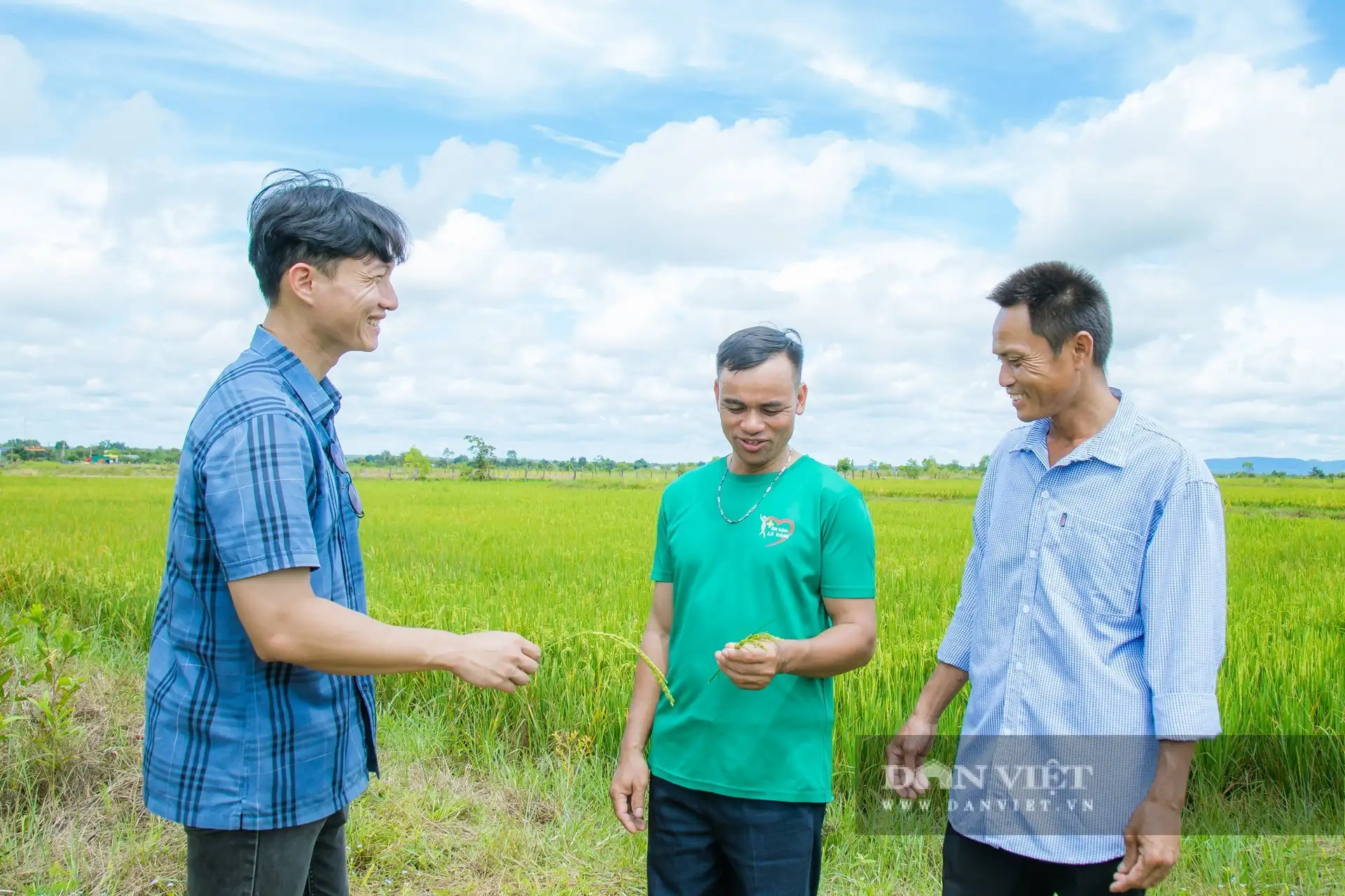 Chuyện lạ Đắk Lắk, nông dân xã biên giới này trồng lúa kiểu gì mà có loại gạo đen bán giá lên tới 95.000 đồng/kg?