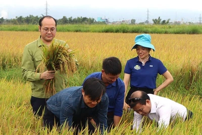 Cơ cấu lại ngành nông nghiệp, gắn với giảm nghèo bền vững tại Điện Biên