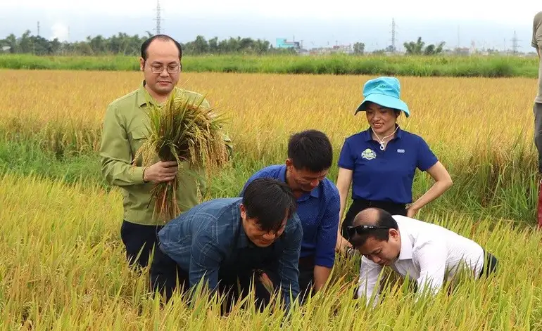 Cơ cấu lại ngành nông nghiệp, gắn với giảm nghèo bền vững tại Điện Biên