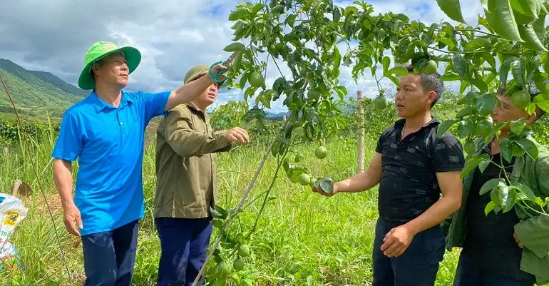 Cơ cấu lại ngành nông nghiệp, gắn với giảm nghèo bền vững tại Điện Biên