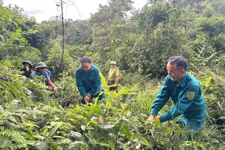 Cơ cấu lại ngành nông nghiệp, gắn với giảm nghèo bền vững tại Điện Biên