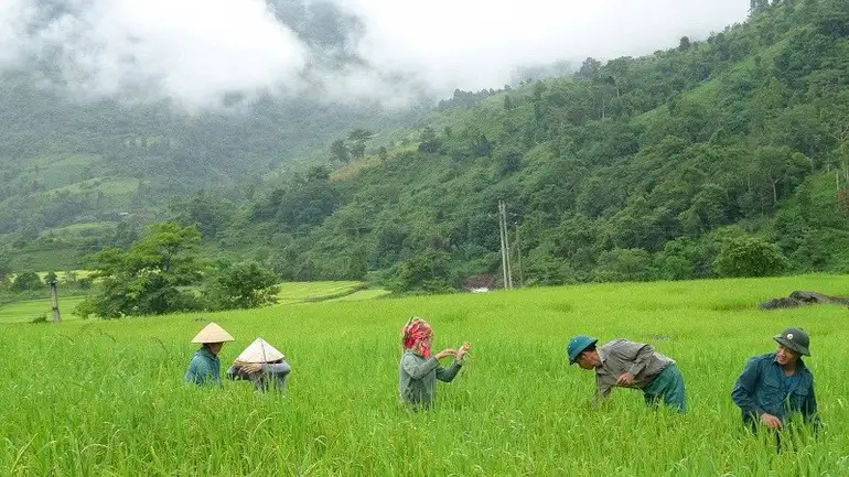 Cơ cấu lại ngành nông nghiệp, gắn với giảm nghèo bền vững tại Điện Biên