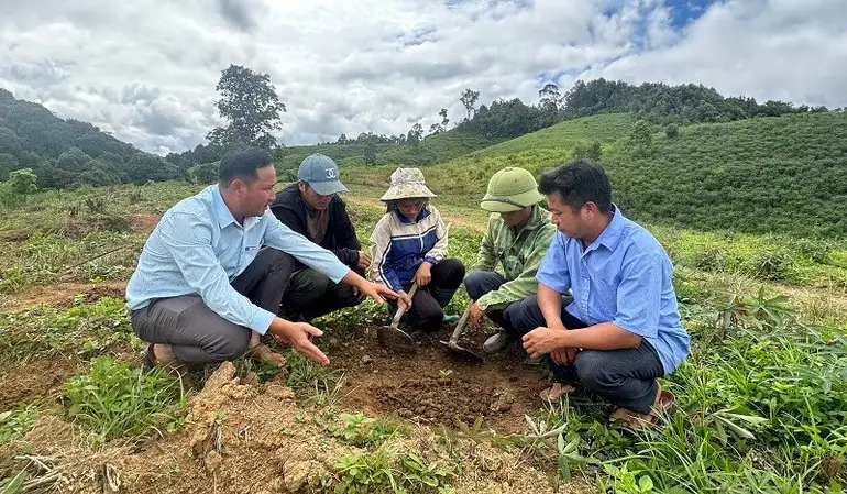 Cơ cấu lại ngành nông nghiệp, gắn với giảm nghèo bền vững tại Điện Biên