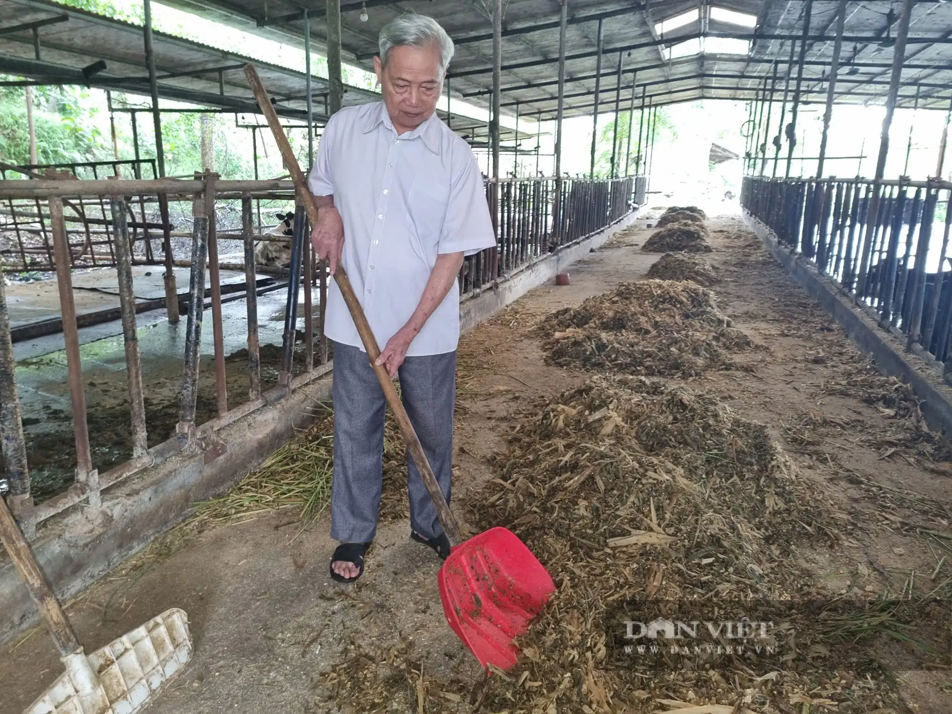 Cơ ngơi 20 tỷ của một tỷ phú nuôi bò sữa ở Hòa Bình (tỉnh Phú Thọ mới), là Nông dân Việt Nam xuất sắc 2025
