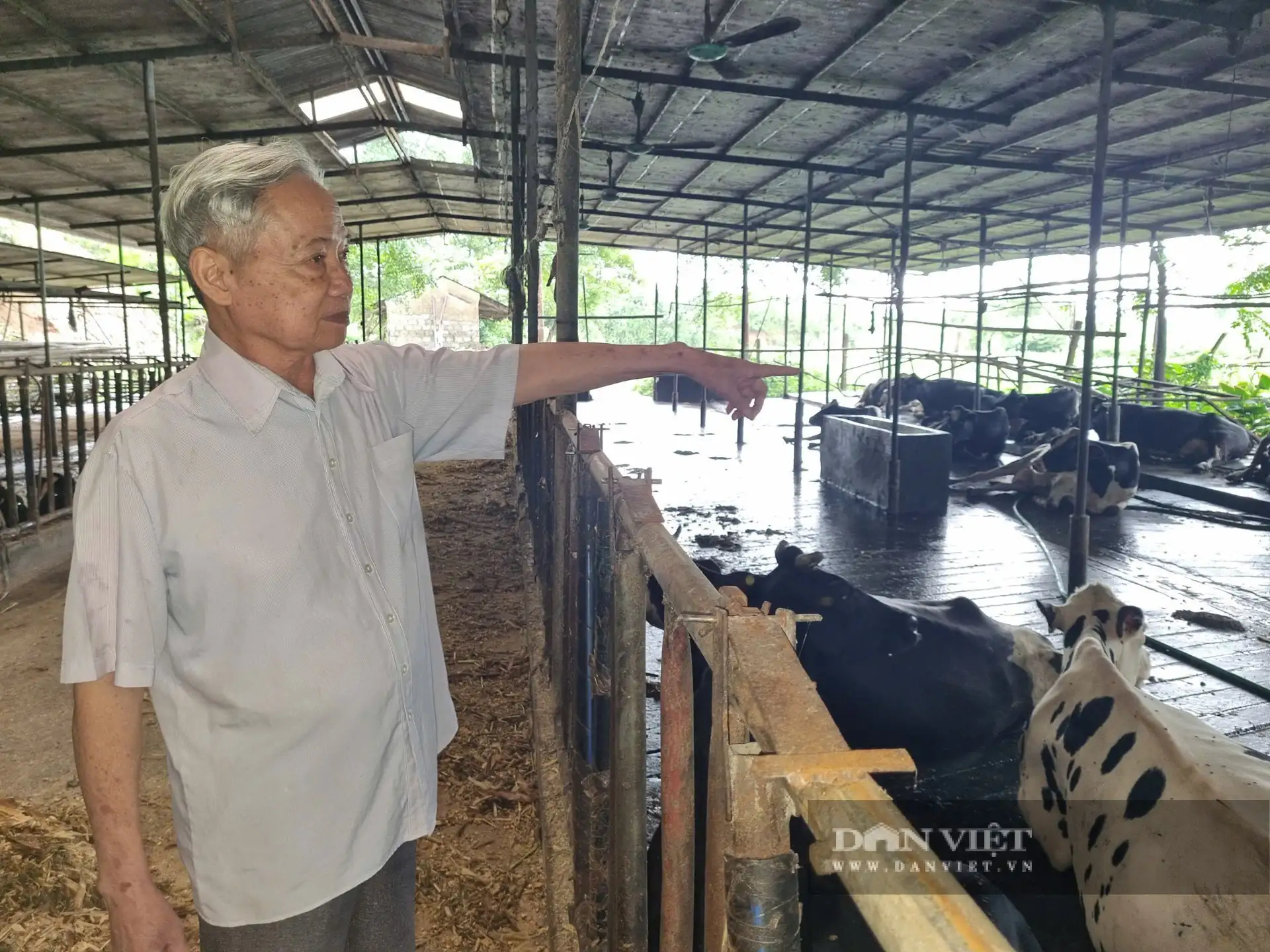 Cơ ngơi 20 tỷ của một tỷ phú nuôi bò sữa ở Hòa Bình (tỉnh Phú Thọ mới), là Nông dân Việt Nam xuất sắc 2025