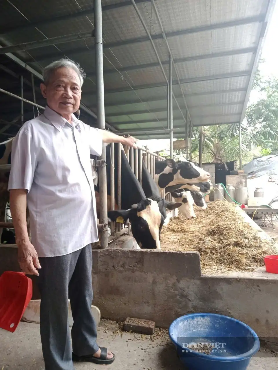 Cơ ngơi 20 tỷ của một tỷ phú nuôi bò sữa ở Hòa Bình (tỉnh Phú Thọ mới), là Nông dân Việt Nam xuất sắc 2025