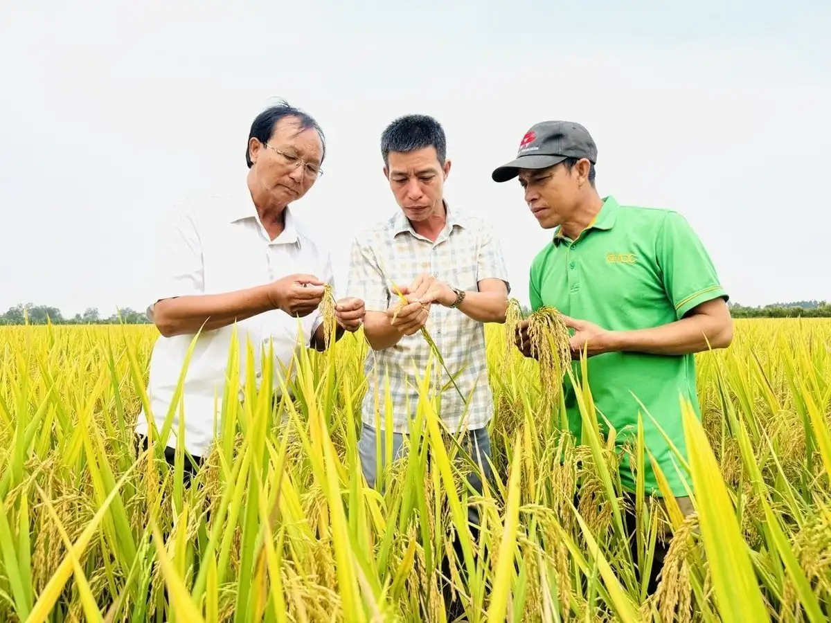 Có nhiều chính sách hỗ trợ nông dân, hợp tác xã và doanh nghiệp