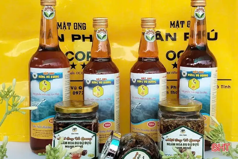 Cơ sở OCOP Hà Tĩnh tăng tốc sản xuất chuẩn bị nguồn hàng dịp cuối năm