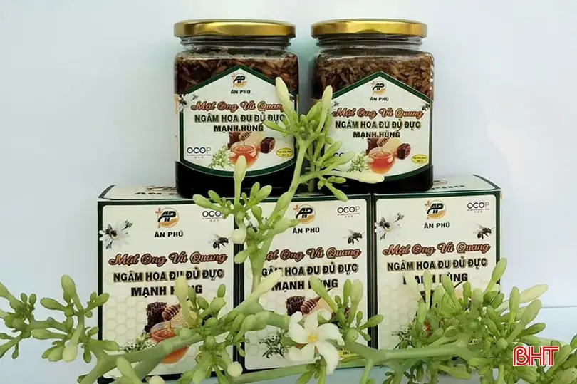 Cơ sở OCOP Hà Tĩnh tăng tốc sản xuất chuẩn bị nguồn hàng dịp cuối năm