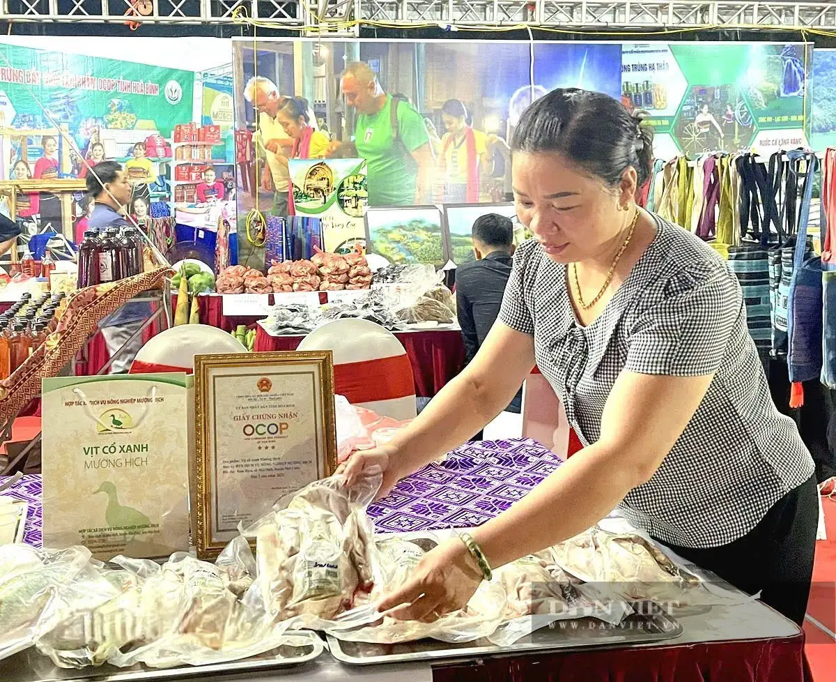 Con đặc sản tối ngày lặn ngụp ngoài sông suối ở Phú Thọ (Hòa Bình trước đây), thịt ngọt như mì chính, đạt 3 sao OCOP