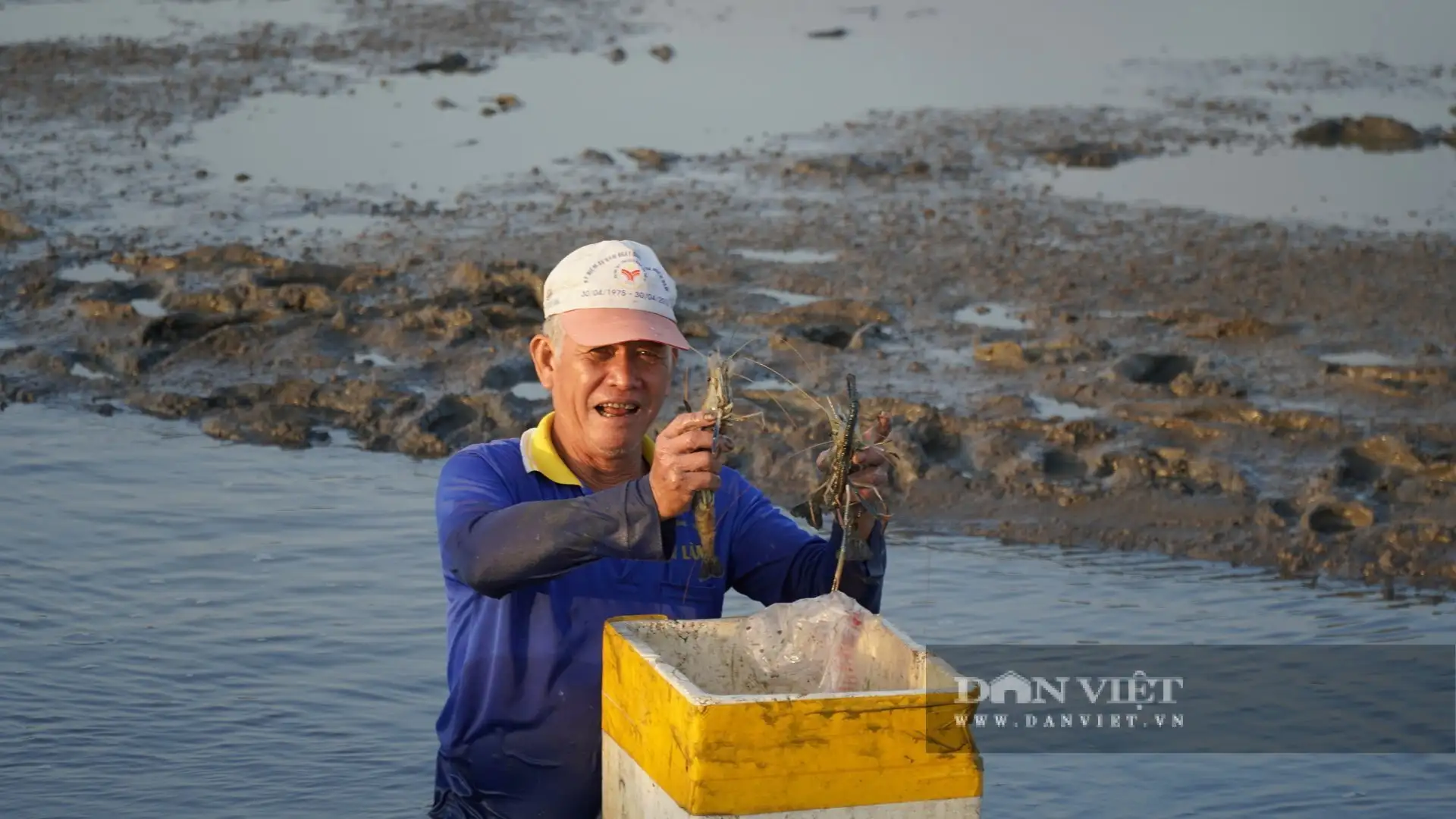 Con tôm càng to bự “ôm cây lúa”, nông dân An Giang bắt bán hút hàng, lúa gạo càng bán dễ dàng