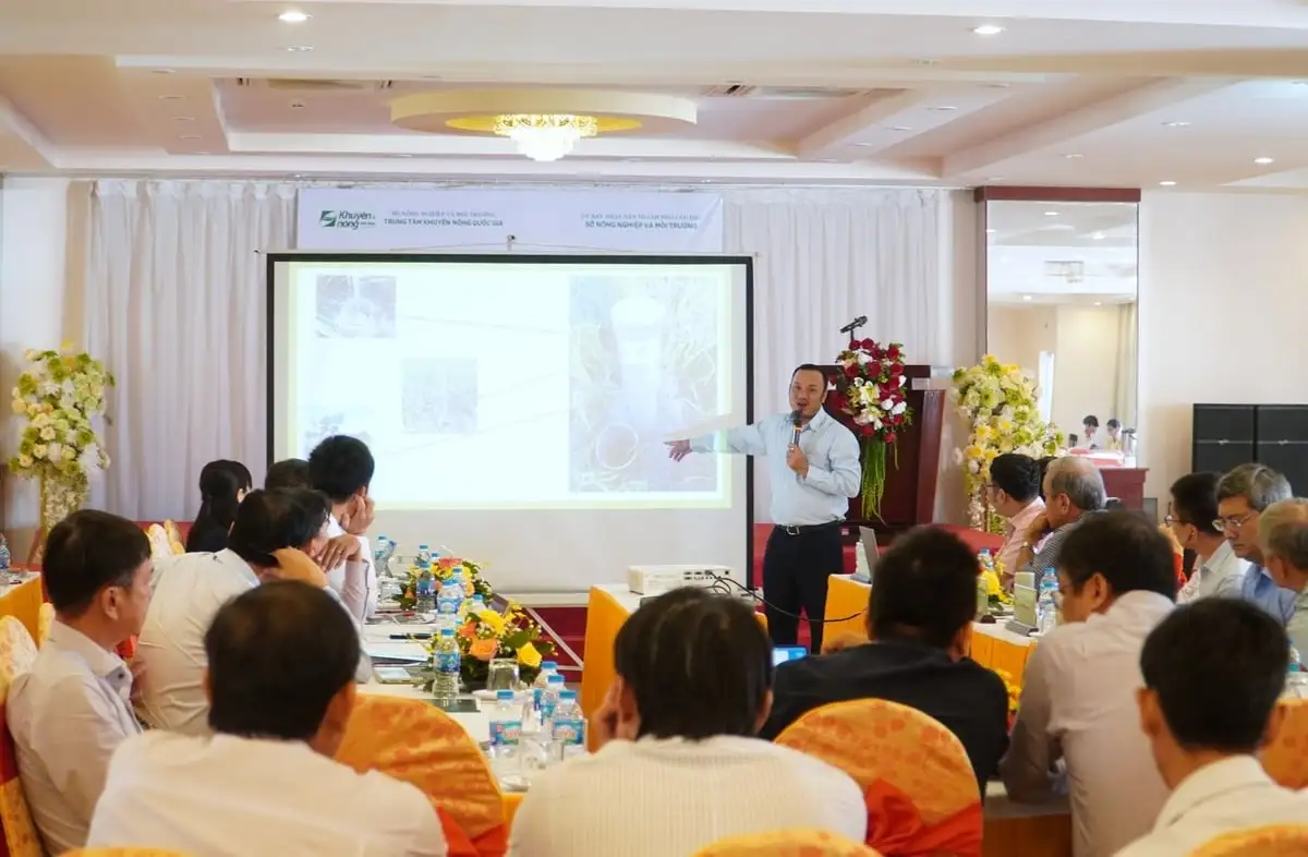 Công nghệ số sẵn sàng ứng dụng cho 1 triệu ha lúa chất lượng cao