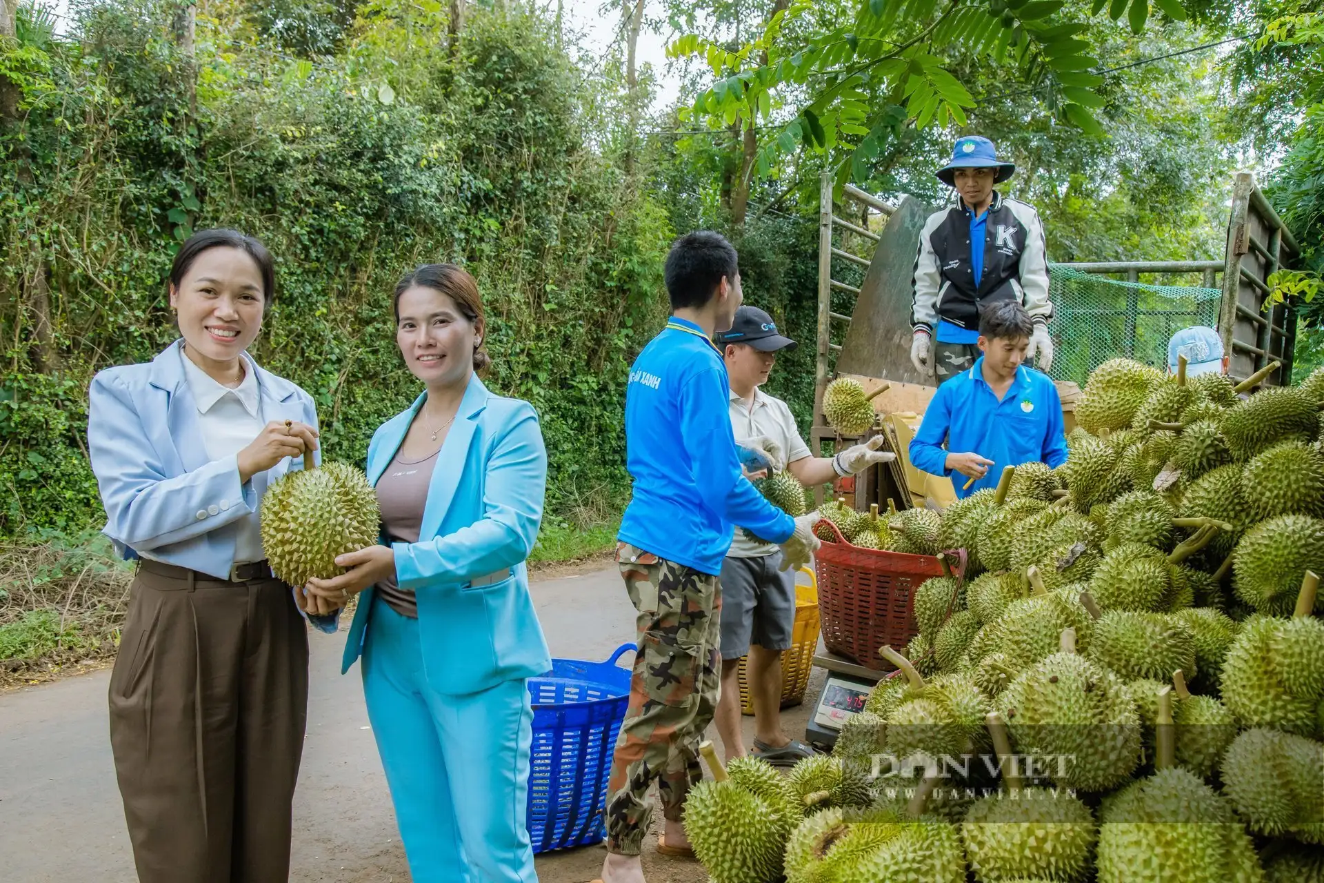 “Cú bắt tay” hồi sinh gần 200ha sầu riêng nhờ nông nghiệp hữu cơ