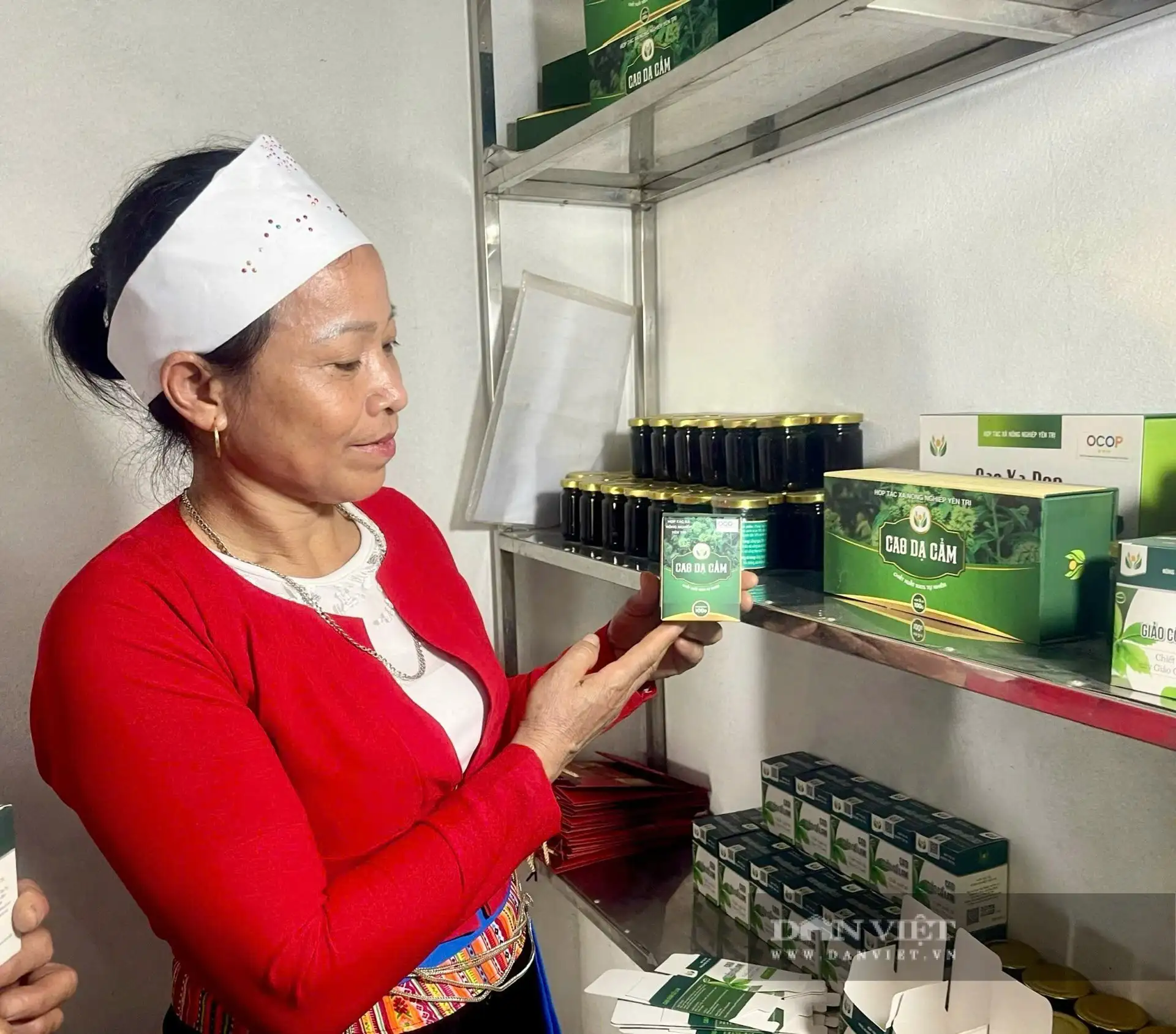 Dạ cẩm, từ vị thuốc &#8220;khắc tinh&#8221; bệnh đường ruột của người Mường Hòa Bình đến sản phẩm đạt 3 sao OCOP Phú Thọ