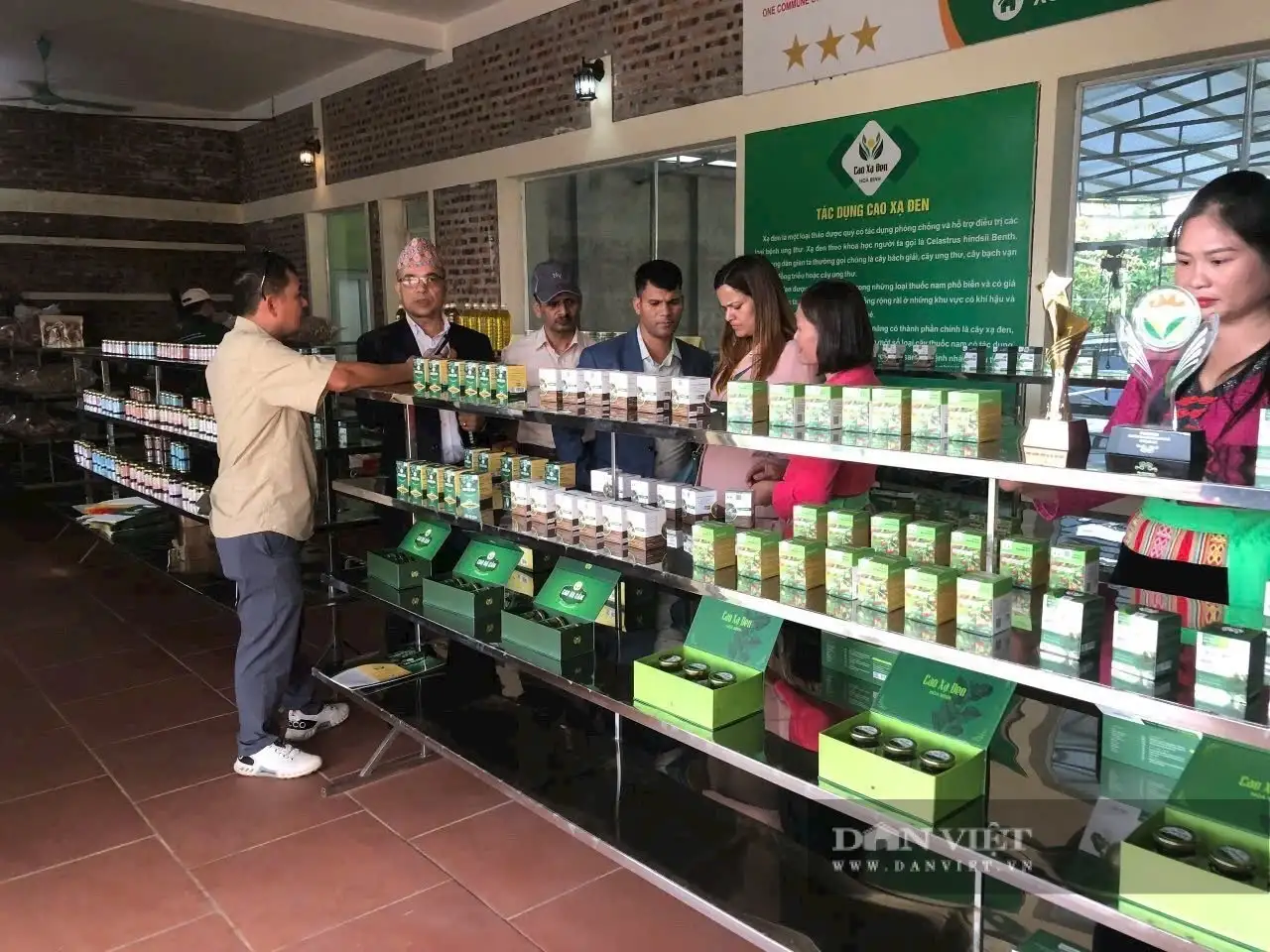 Dạ cẩm, từ vị thuốc &#8220;khắc tinh&#8221; bệnh đường ruột của người Mường Hòa Bình đến sản phẩm đạt 3 sao OCOP Phú Thọ