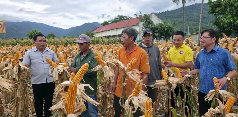 Đa dạng sinh kế, khơi dậy ý chí thoát nghèo nơi vùng cao Lâm Đồng