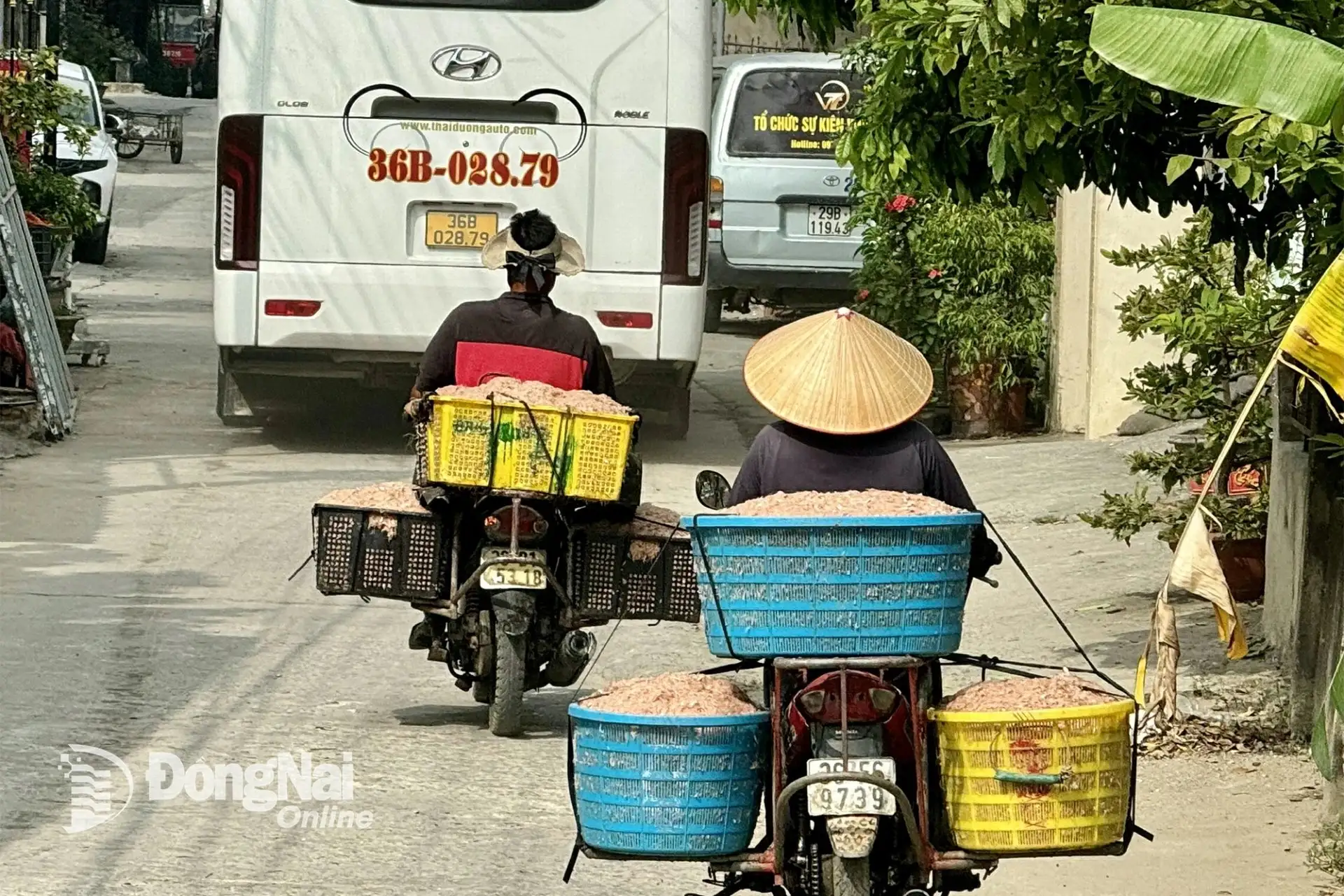 Đi vô một nhà máy hoành tráng ở Thanh Hóa thấy rót ra thứ nước màu cánh gián, đạt 5 sao OCOP, bán sang cả châu Âu