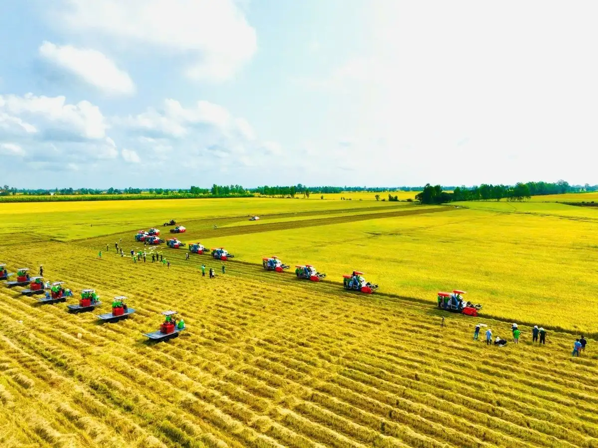 Địa phương rất cần một quy trình chuẩn về kỹ thuật canh tác giảm phát thải