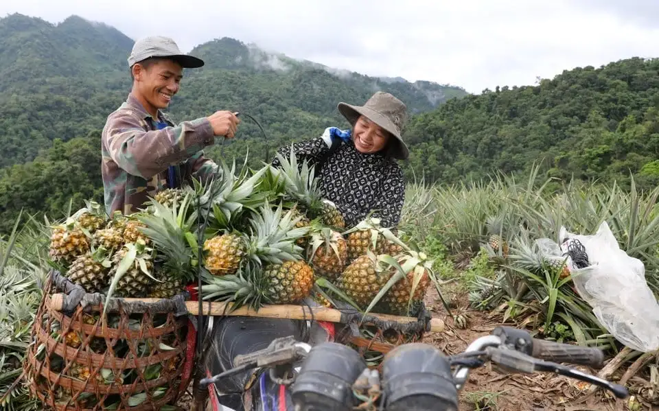 Điện Biên đồng bộ giải pháp giảm nghèo, nâng cao sinh kế bền vững
