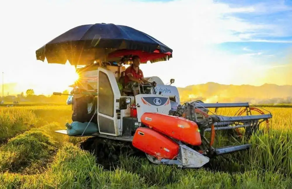 Điện Biên gắn chặt xây dựng nông thôn mới với tái cơ cấu nông nghiệp