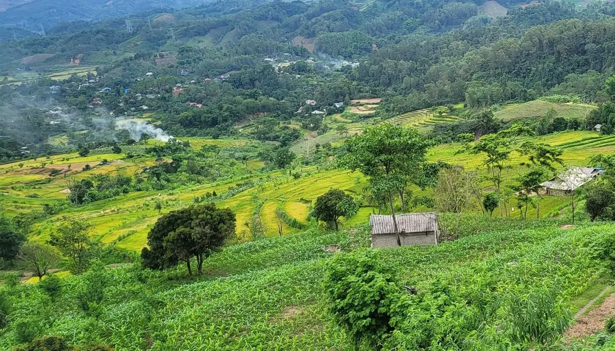 Điện Biên gắn chặt xây dựng nông thôn mới với tái cơ cấu nông nghiệp