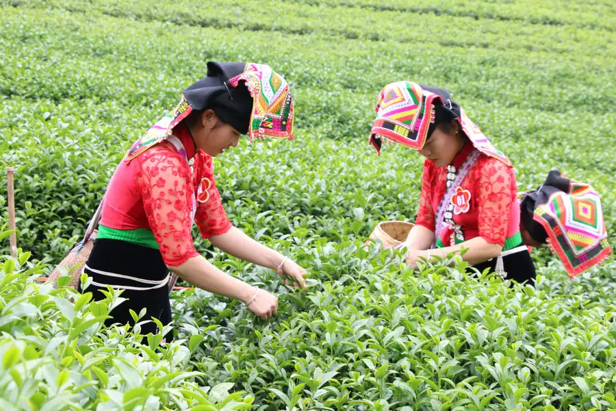 Đời sống của người dân Sơn La đổi thay nhờ công tác giảm nghèo