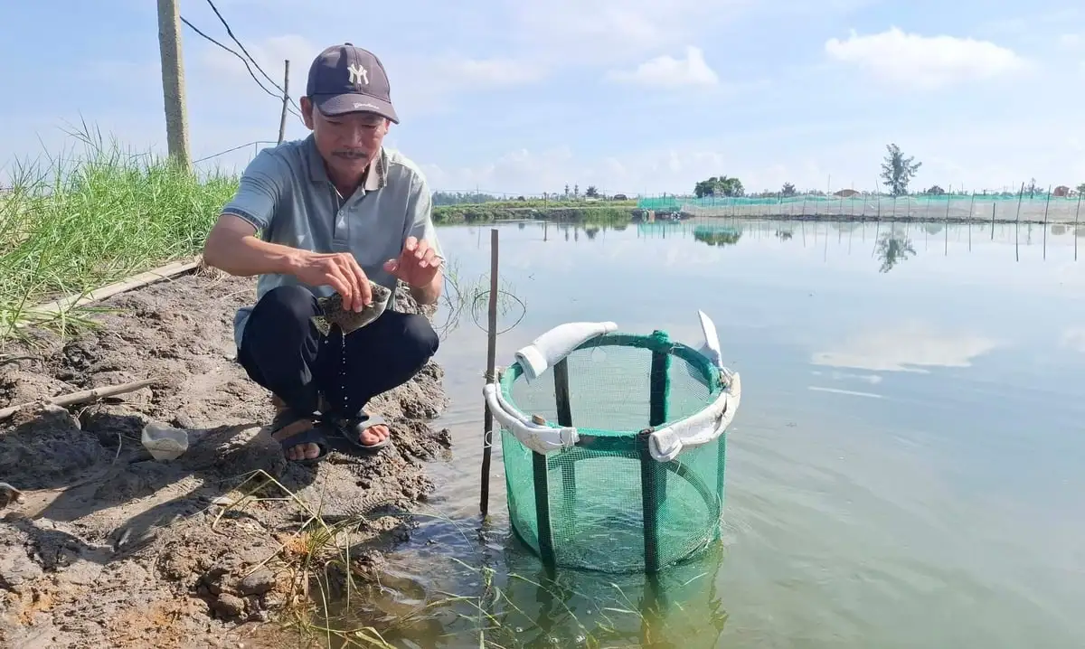 Đồng bộ, linh hoạt phòng, chống dịch bệnh thủy sản