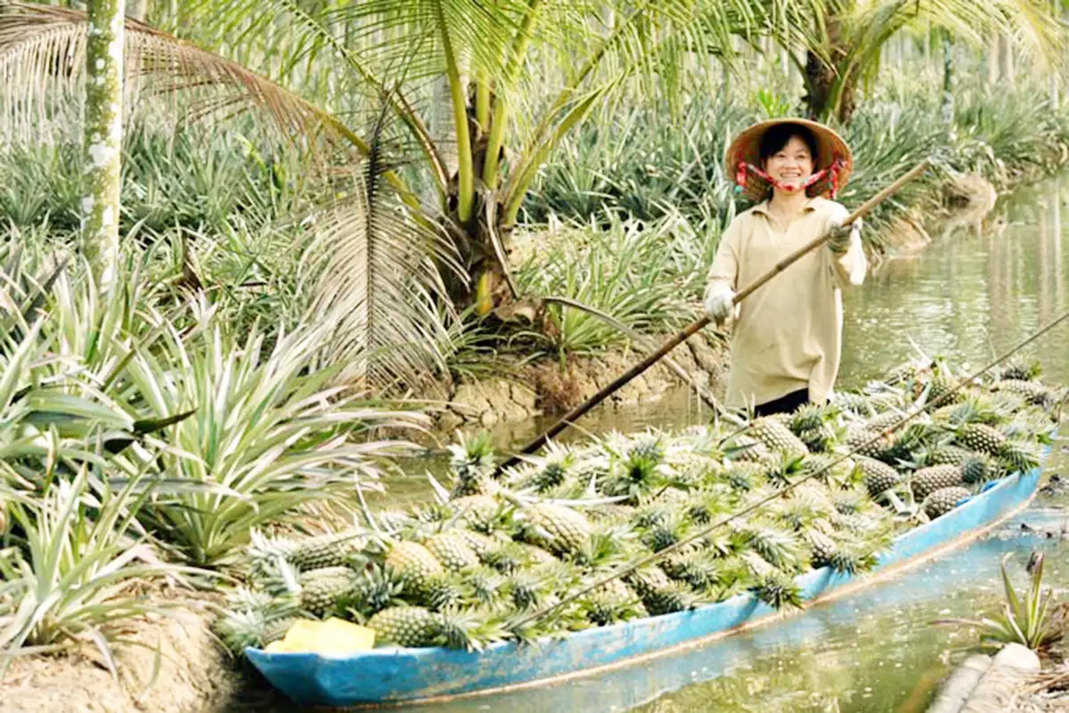 Động lực xây dựng nông thôn mới từ những vùng đất trù phú ở An Giang