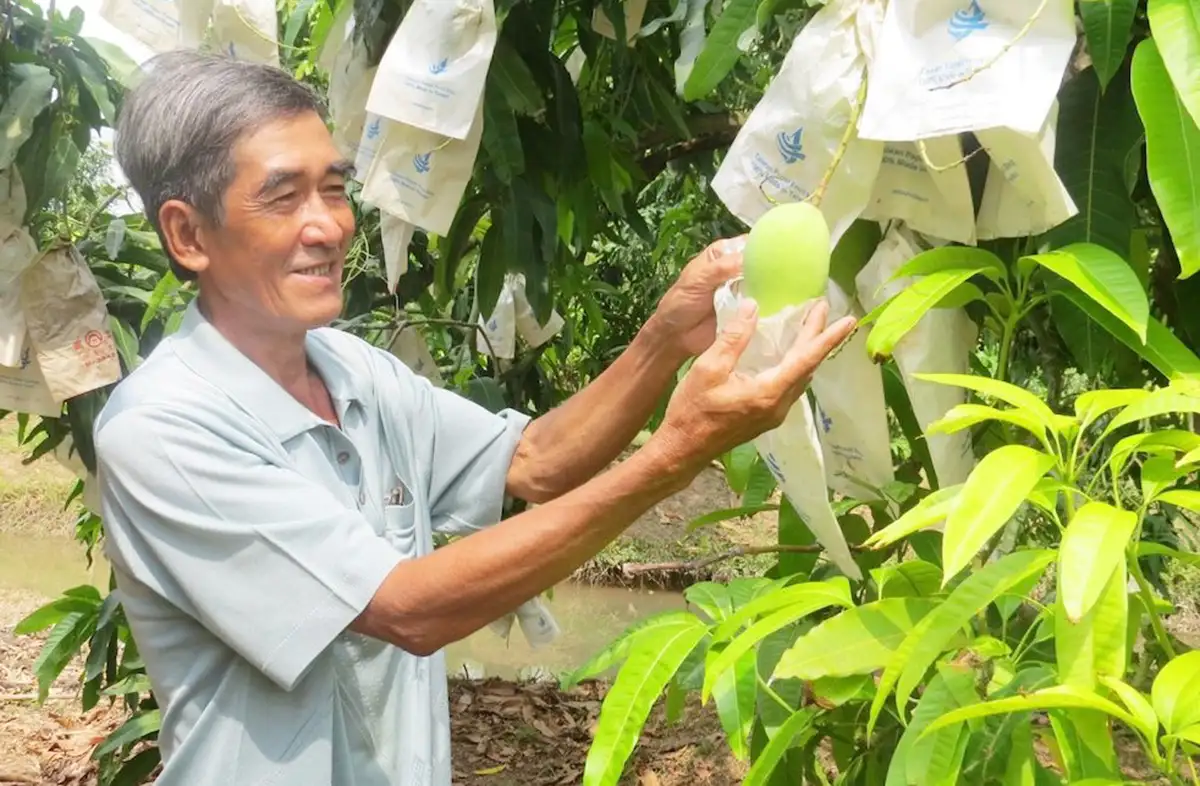 Động lực xây dựng nông thôn mới từ những vùng đất trù phú ở An Giang