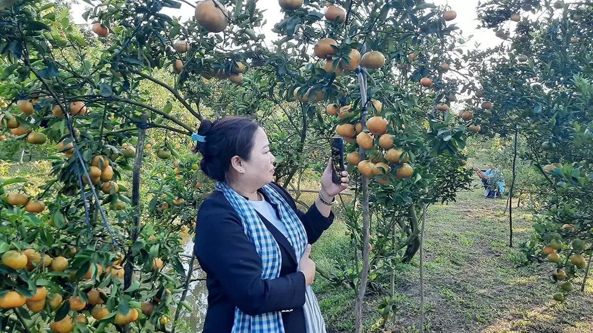 Đồng Tháp phát triển nông nghiệp theo hướng sinh thái, hiện đại