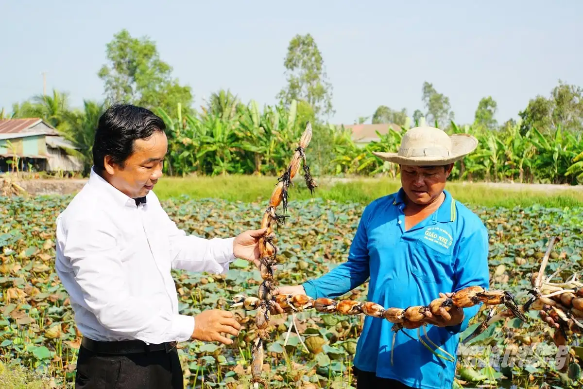 Đồng Tháp tiên phong tái cơ cấu nông nghiệp, nâng thu nhập cho nông dân