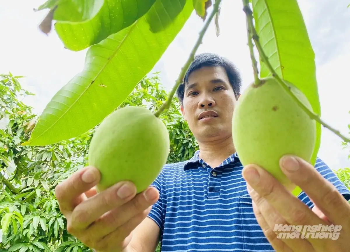 Đồng Tháp tiên phong tái cơ cấu nông nghiệp, nâng thu nhập cho nông dân