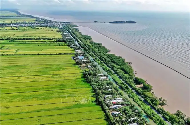 Đột phá kinh tế tập thể tại Cà Mau trong nông nghiệp hiện đại