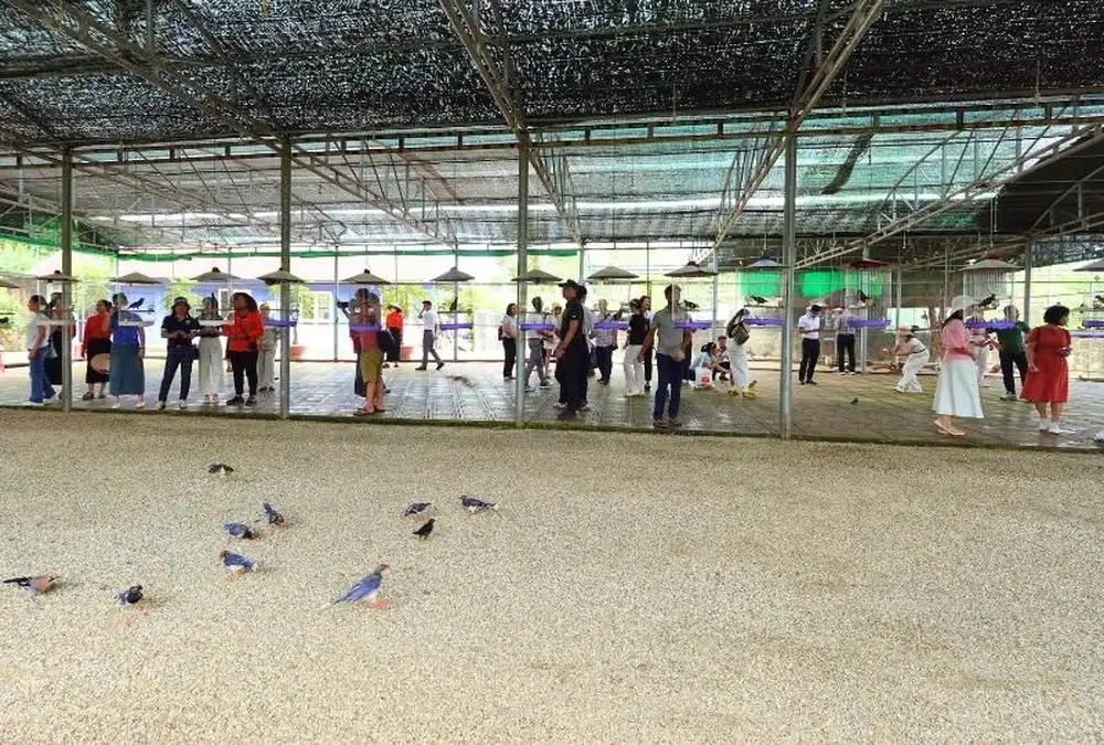 Du lịch nông thôn – Sản phẩm chủ lực của ngành kinh tế xanh Thái Nguyên