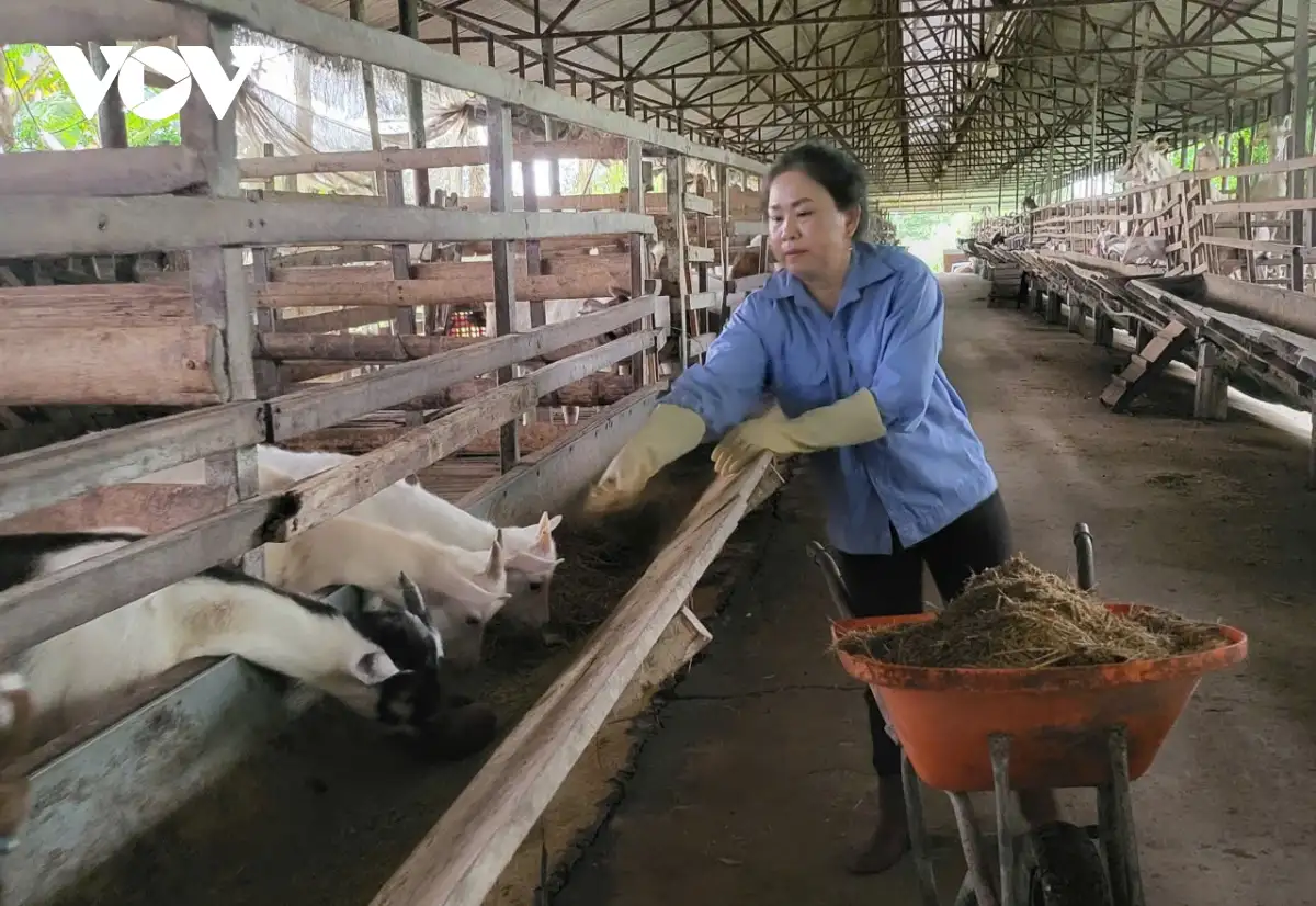 Gắn kết sản phẩm OCOP để phát triển du lịch cộng đồng, du lịch trải nghiệm