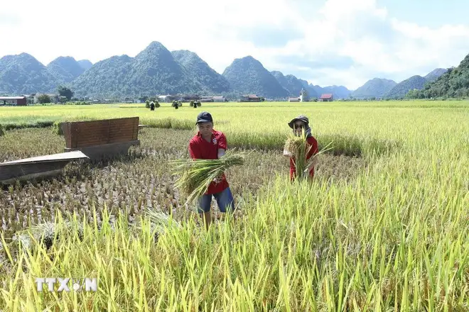 Ghé thăm Làng văn hóa du lịch cộng đồng Quỳnh Sơn &#8211; Làng du lịch tốt nhất thế giới