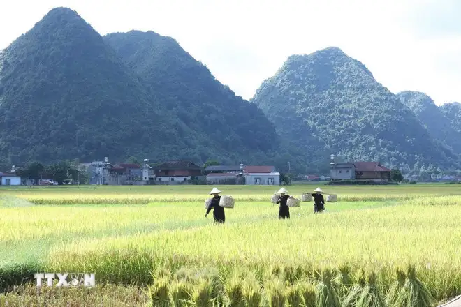 Ghé thăm Làng văn hóa du lịch cộng đồng Quỳnh Sơn &#8211; Làng du lịch tốt nhất thế giới