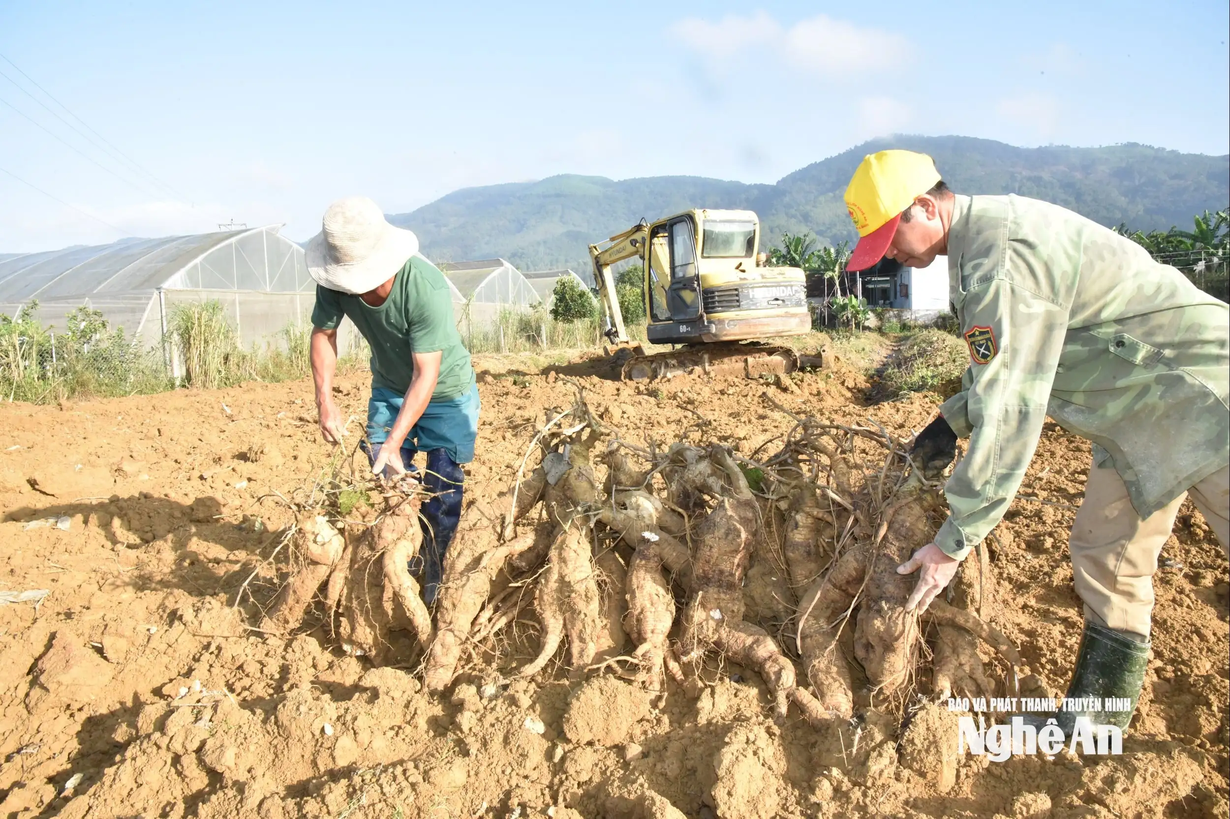 &#8220;Giám đốc nông dân&#8221; xây dựng 7 sản phẩm OCOP trên quê Bác