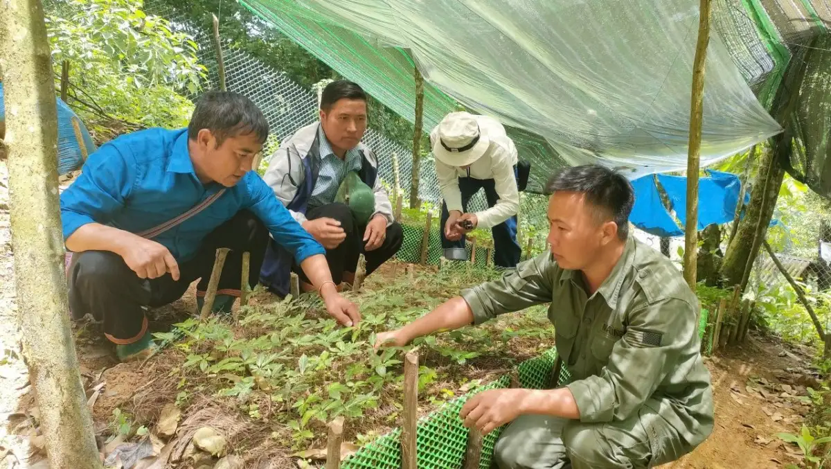 Giảm nghèo bền vững ở Sơn La: Khi chính sách đi cùng thực tiễn